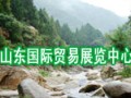 山东省国际贸易中心